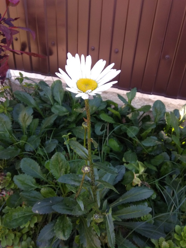 Всем доброе утро! Подскажите, кто в курсе, работает ли ?...