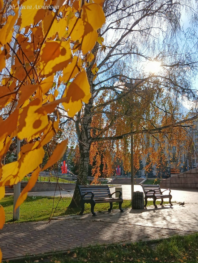 Чудесный день в Самаре. 🍁🌤