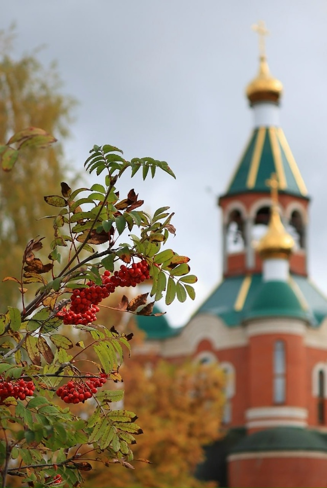 ? Последние яркие краски сентября в объективе Елены Т...