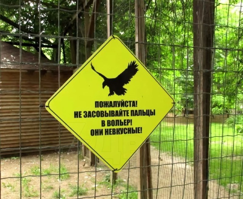 Так уж и быть, уговорили