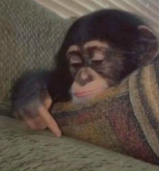 Даже обидно немного