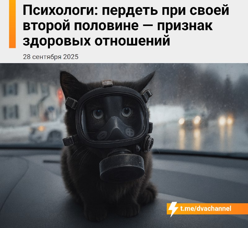 ⚡️Пердеть рядом со своей второй половиной — это признак здоровых отношений, рассказали психологи
Ес