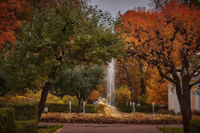 В Нижнем парке высажено более 30 видов лиственных и 9 ви?...