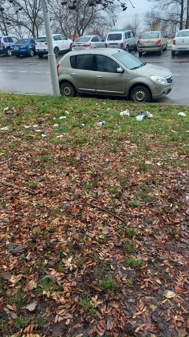 Почему так грязно в городе ,не убирается листва и не сп?...