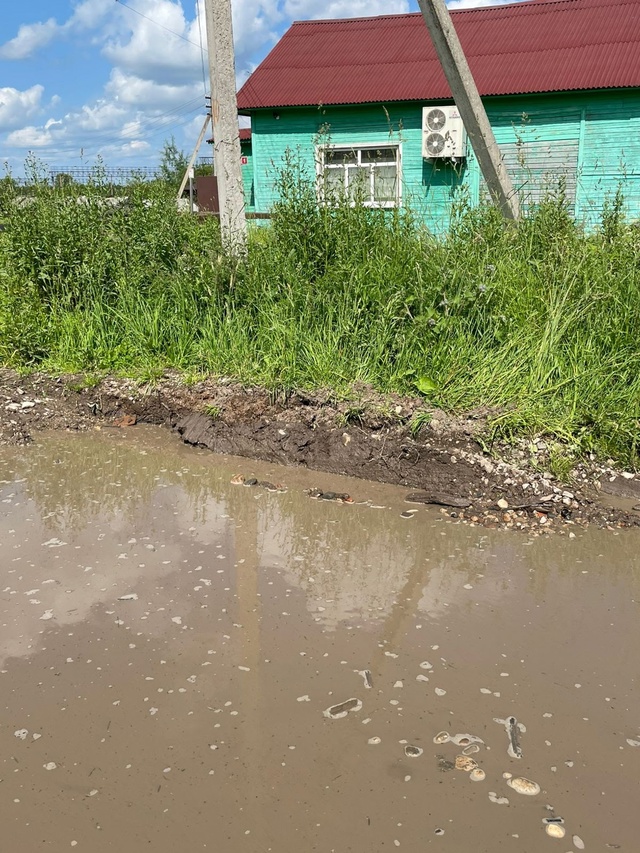 Ерцево !!! Администрация мер не принимает(