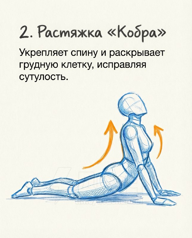 Подвезли лучшие упражнения для увеличения роста, исправления осанки и укрепления спины
Эти простые