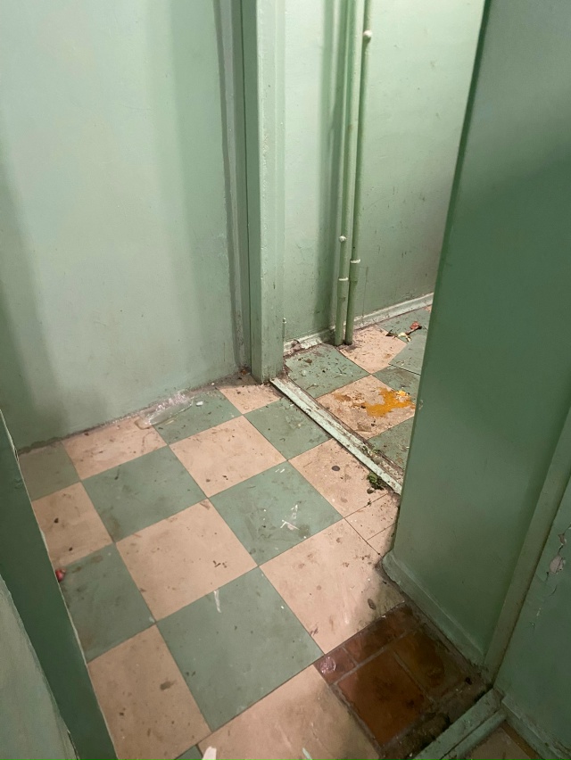 Добрый вечер, вчера сфотографировала.
Страшно заходит?...