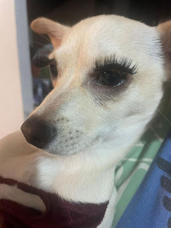 Ну что за красота