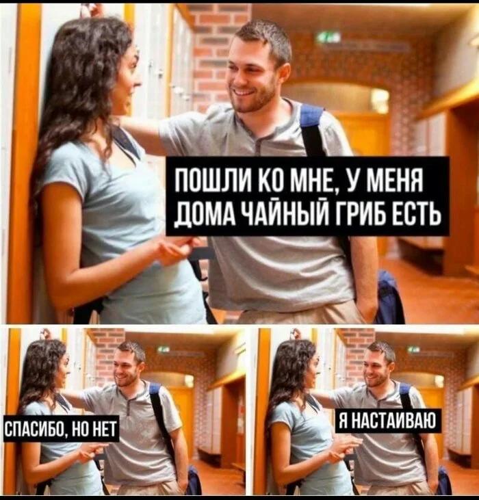 Чайный гриб помогает худеть быстрее, чем диеты или Оземпик.
Учёные выяснили, что комбуча стимулиру