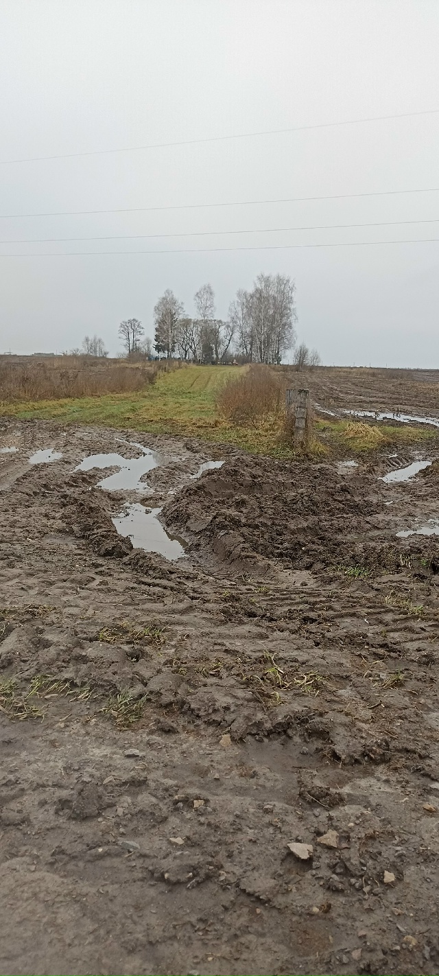 В Трубчевском районе возле деревни Ломакино была отре?...