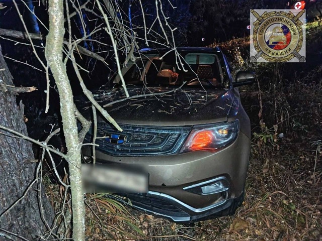 В Алатырском районе в ДТП пострадала 55-летняя женщина. ...