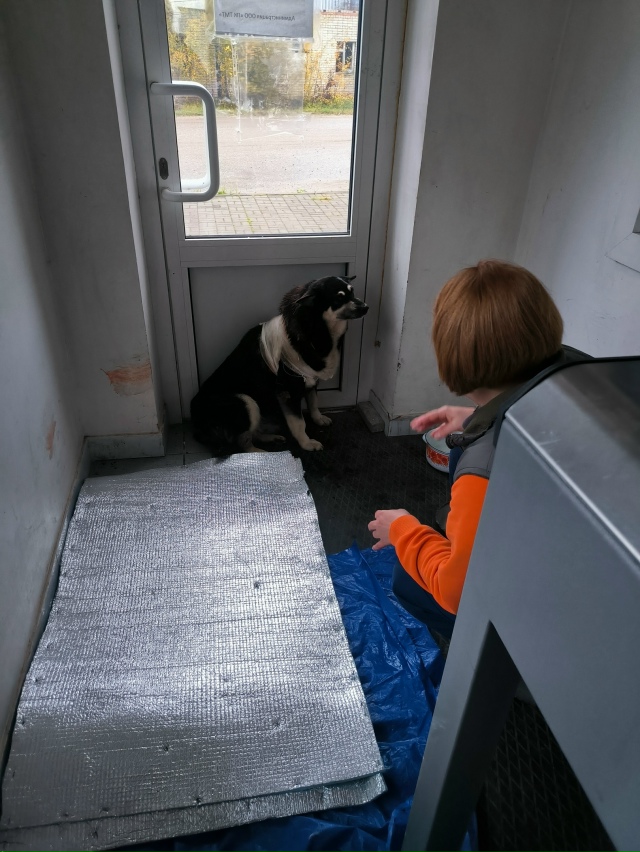 Друзья, нужна помощь! 😪
Сегодня звонит папа 