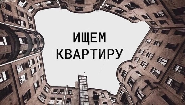 Ищем квартиру для покупки: однокомнатную или двухкомн?...