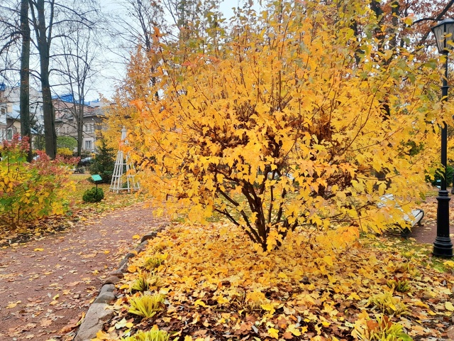 Осень в Карякинском саду ❤️
📷 Елена Михайлова