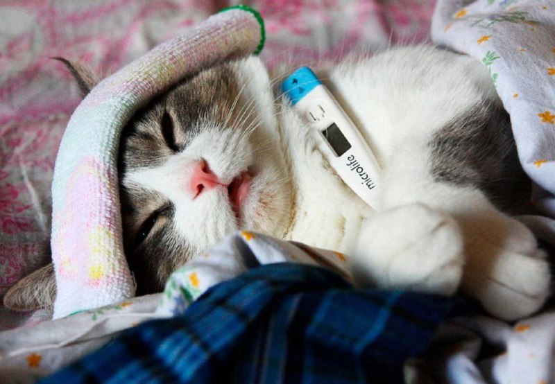 *долгожданный отдых начинается*
я в ту же секунду: