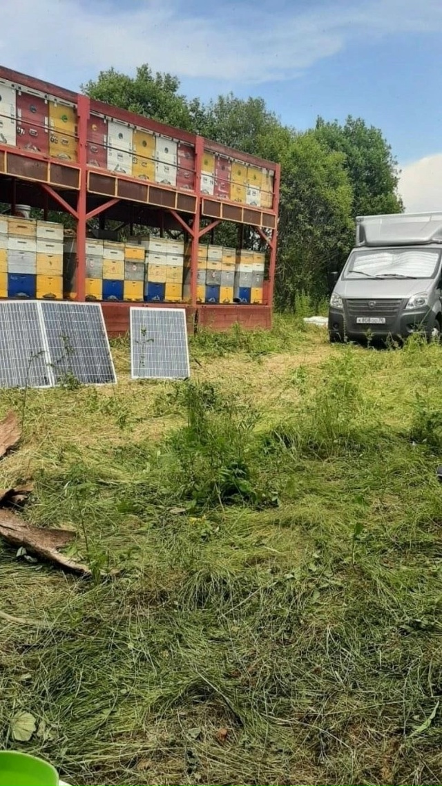 Всем здраствуйте дорогие жители города Питкяранта! 🐝 ...