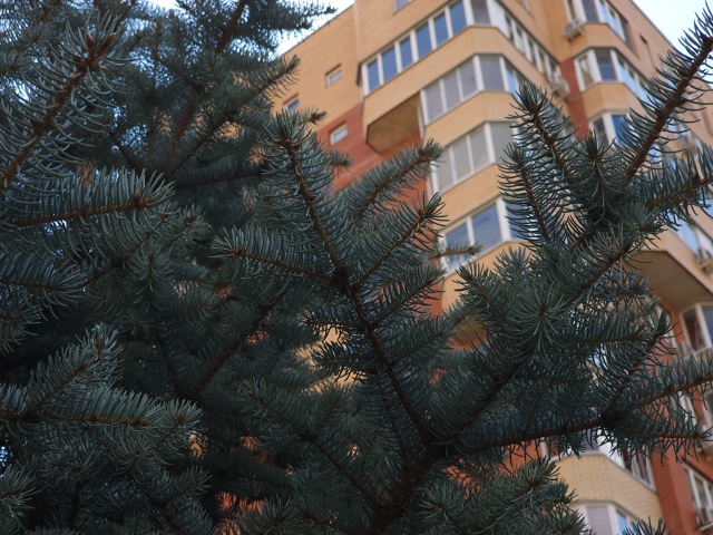 Улица Южная Протвино