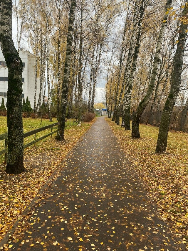 КРАСИВАЯ ОСЕНЬ В БАЛАШИХЕ! ♥♥