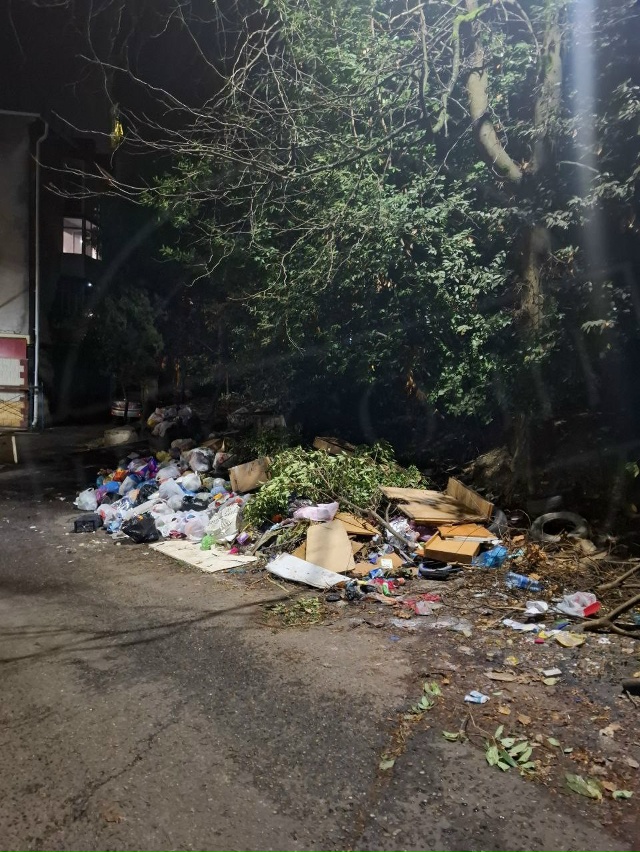 Типичная картина сочинских дворов в эпоху «Крайжилком...