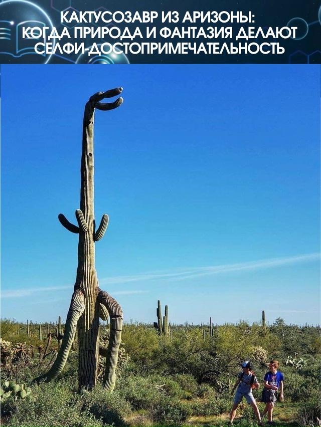 В американском штате Аризона, где солнце жарит как ско?...