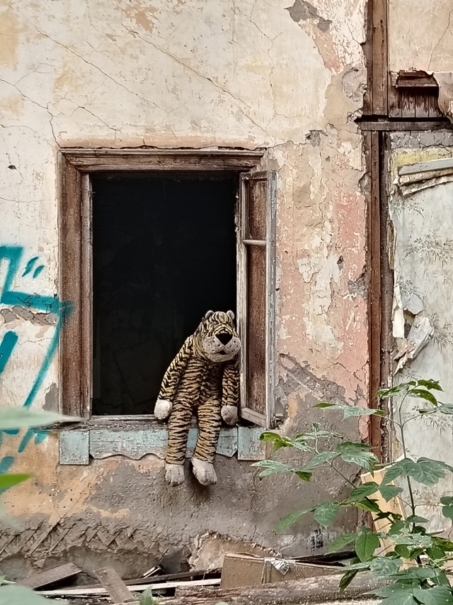 Ставропольская /советская
Тигр, лишенный дома, уныло в?...