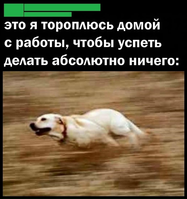 Скорей бы начать