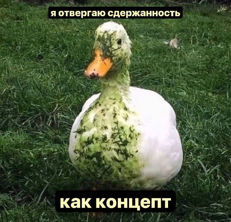 Утренняя подборочка