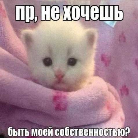 Утренняя подборочка