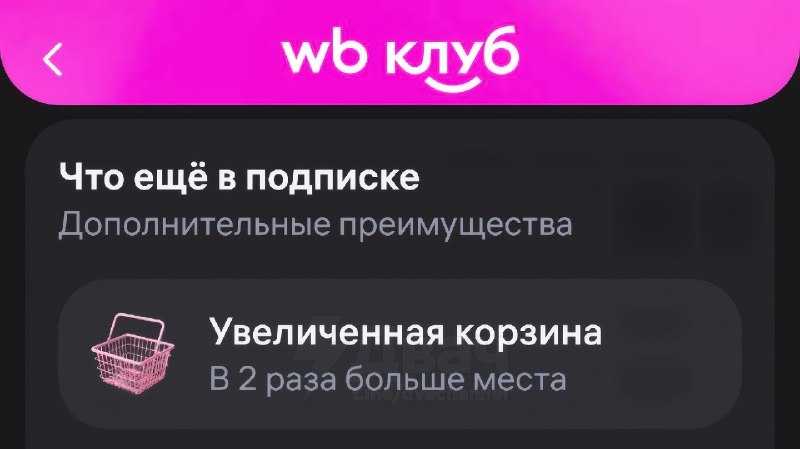 Воздуха набрали?
Вайлдберис сделал корзину платной. Теперь количество товаров в ней ограничено.
Чт