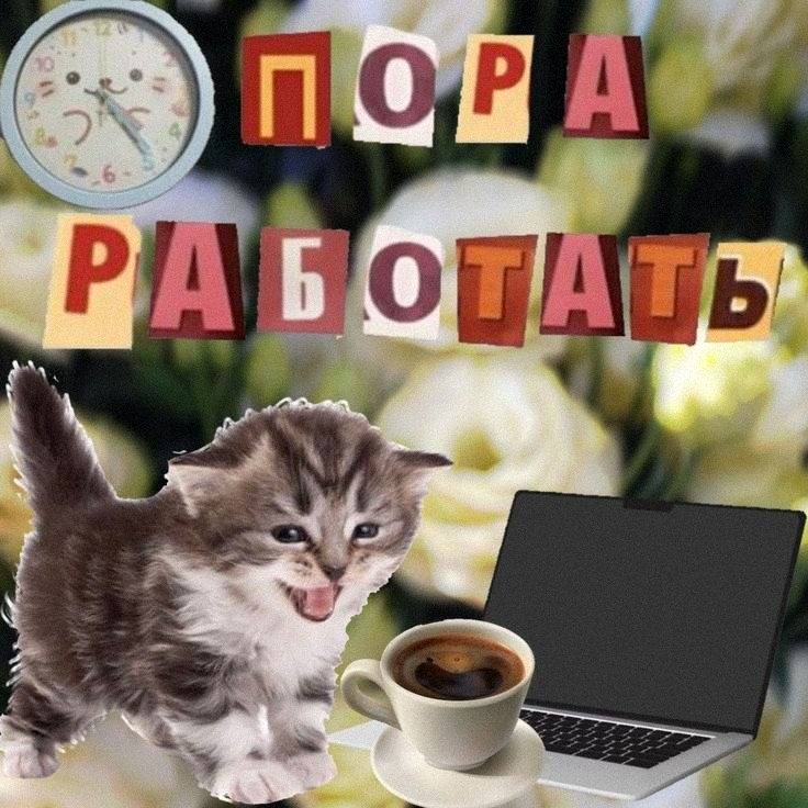 Утренняя подборочка