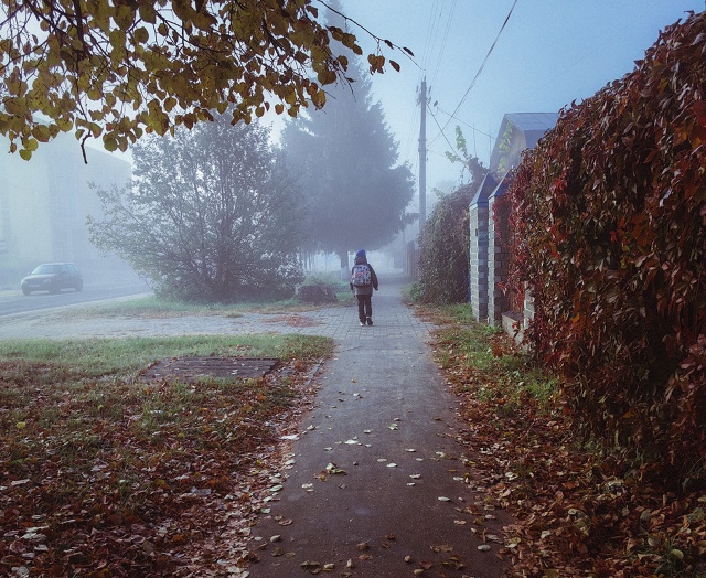 У Т Р Е Н Н И Е 🍂
#Мобильнаяфотография Huawei P60 Pro