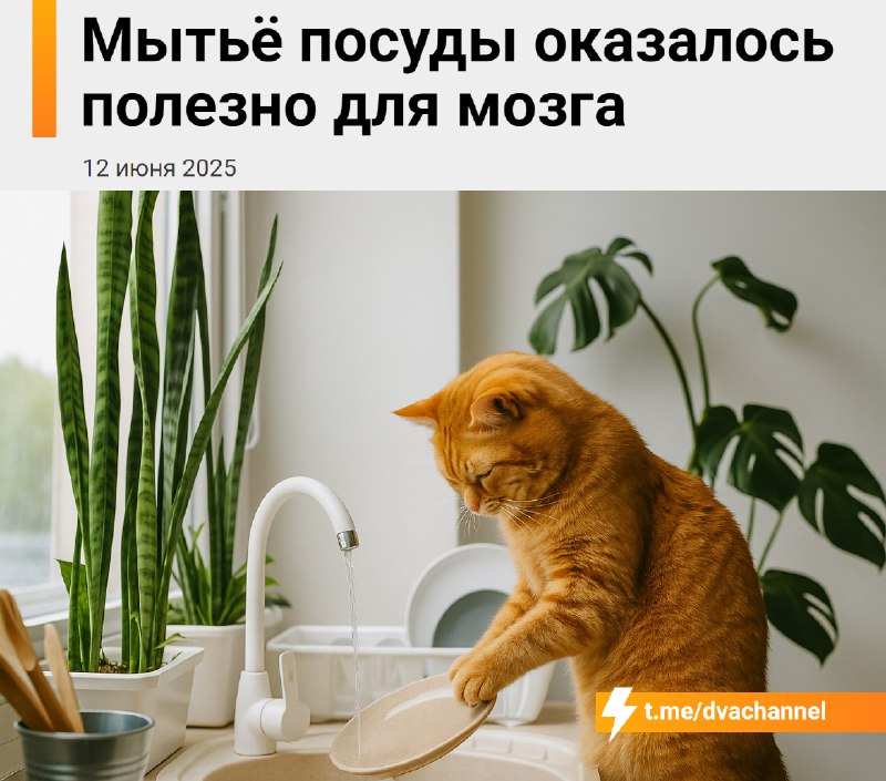 Мыть посуду полезно для мозга — учёные говорят, что простые занятия помогают лучше думать
Повседнев