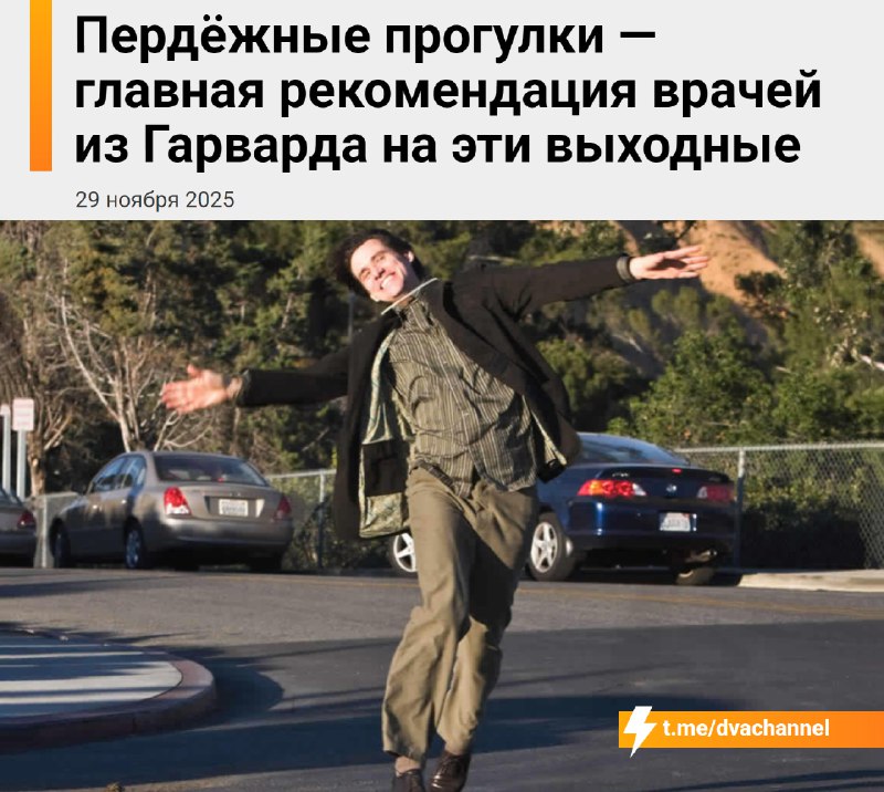 Пердёжная прогулка — главная рекомендация врачей из Гарварда: в канун выходных и каникул люди обычно