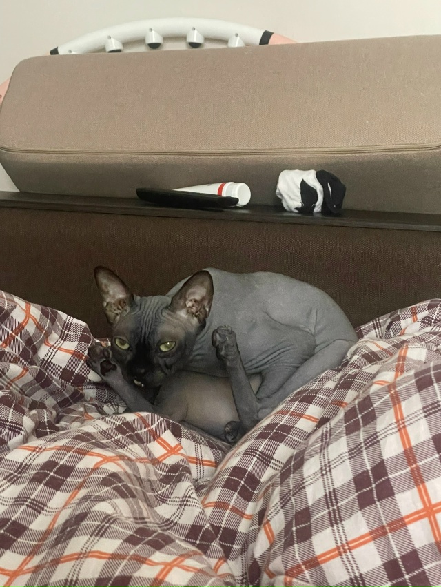 Котосын Лёня