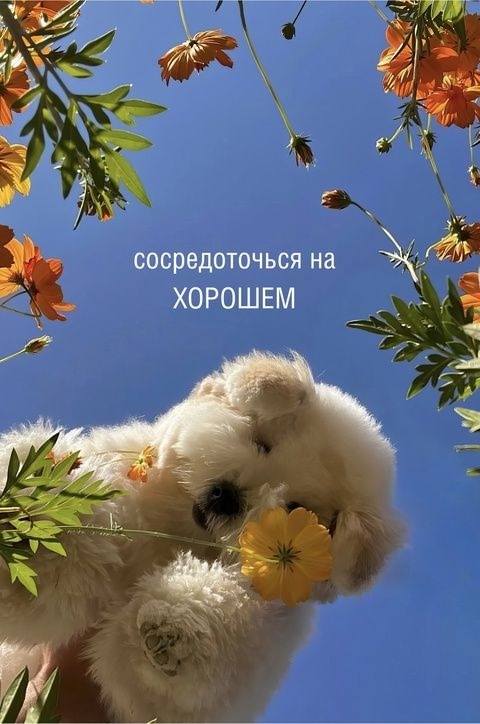 Доброе утро!