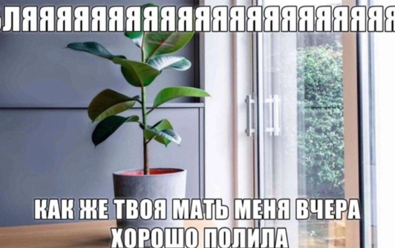 Утренняя подборочка