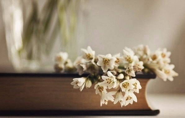 Человек — это книга. Если ты её не понял, значит не для ?...