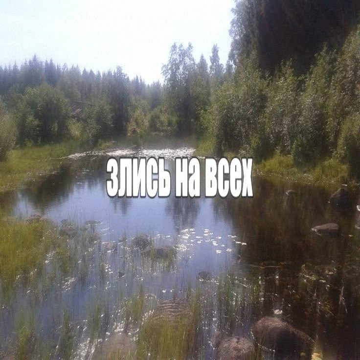 Утренняя подборочка