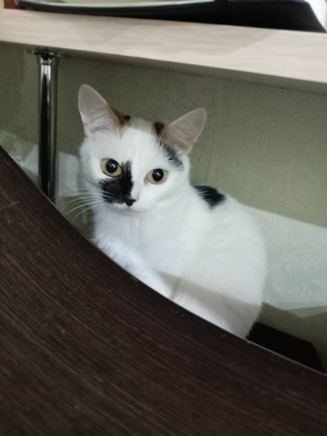 Малышка- трусишка Марта, которая не растёт😍