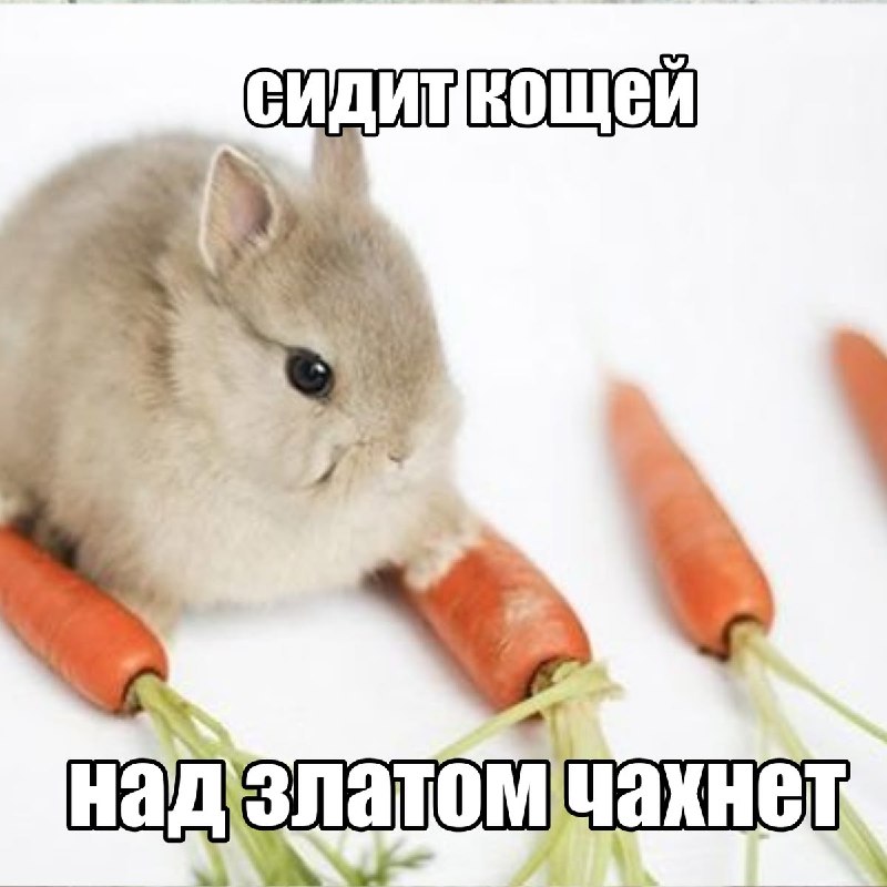 я со своими палетками, которые жалко начинать