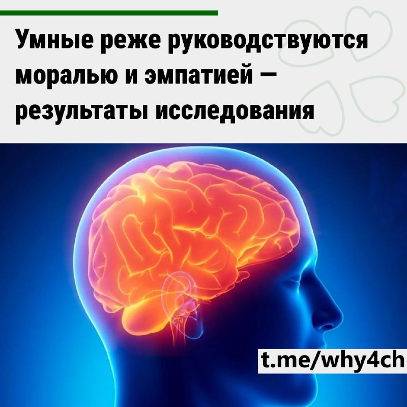Умные чаще ведут себя как социопаты — исследование
Учёные выяснили, что высокий уровень интеллекта