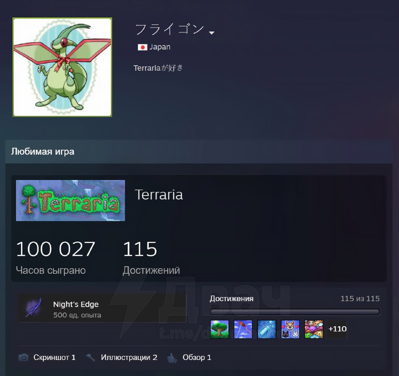 Парень наиграл в Terraria 100 000 часов
Японец с обычной жизнью провёл в игре больше 11 лет — 4167