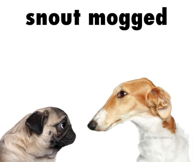 Возможно, истинная причина, по которой Звездолом изгна...