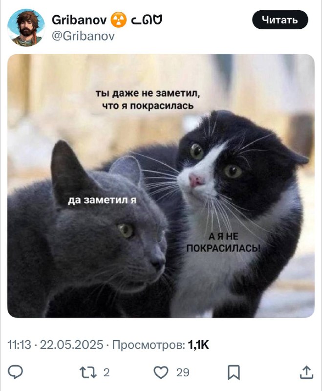 Ну мы 🤓