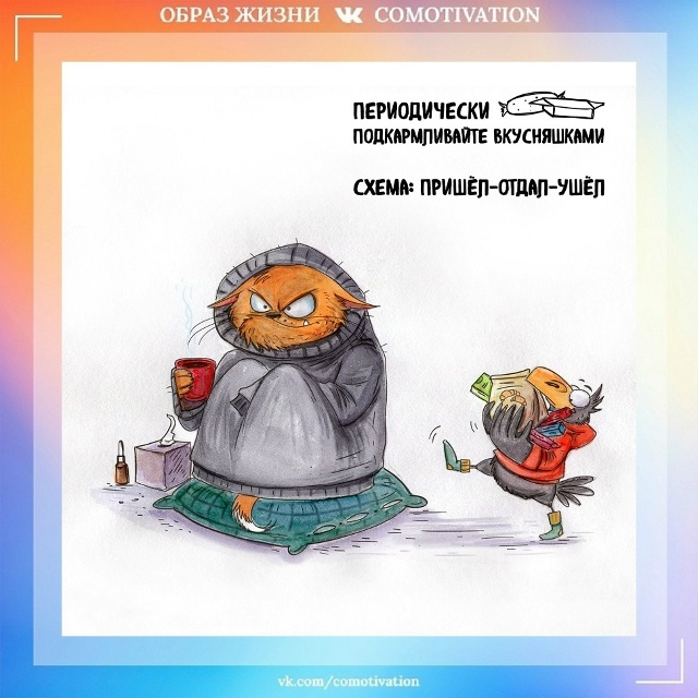 9 советов от иллюстратора Bird Born.
Больше всего понравилс...