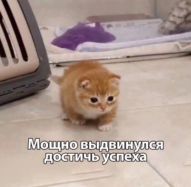 Планы на этот вторник только такие💪🏻
Доброе утро😉