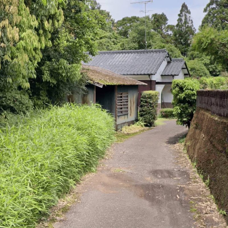 В Японии бесплатно отдают настоящий дом самурая.
Новому владельцу достанется просторный традиционны