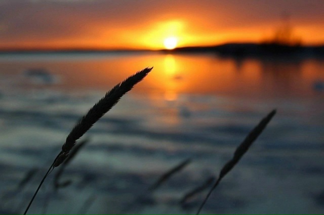 Рисунки и паттерны заполярного ноября в объективе Еле?...