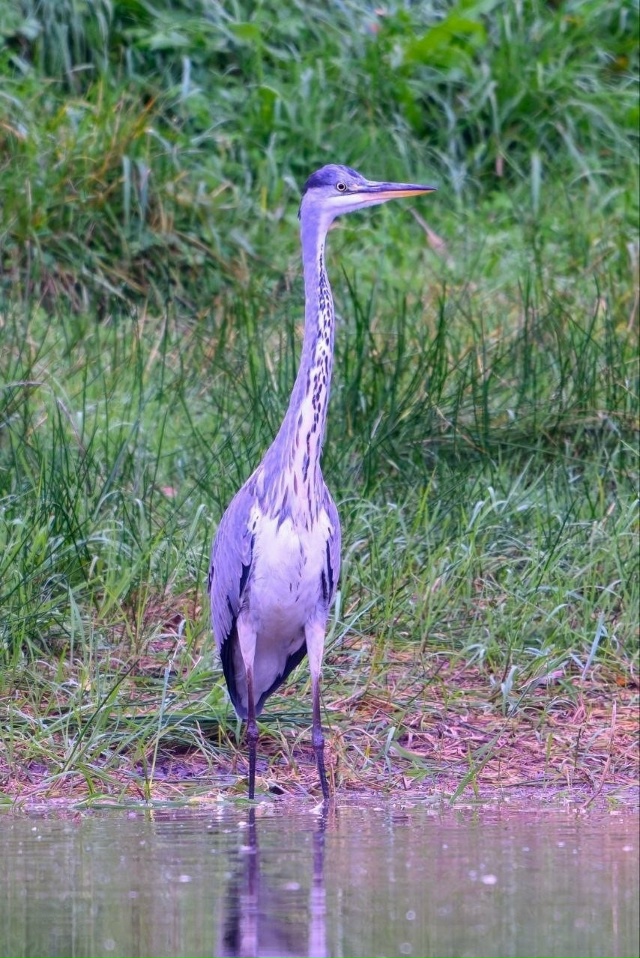 Когда залетел за легким осенним завтраком, на обновлен...