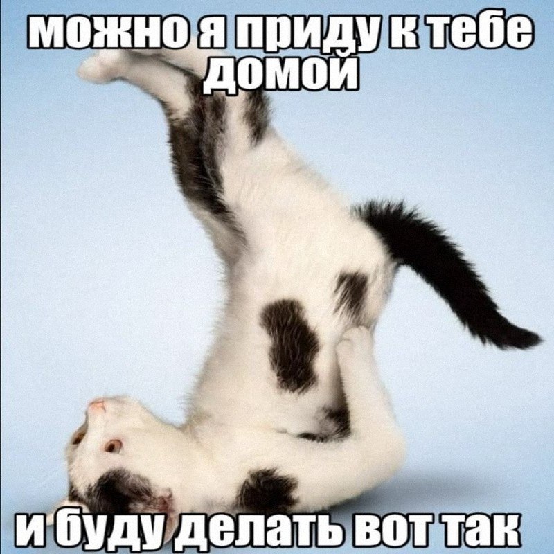 Утренняя подборочка